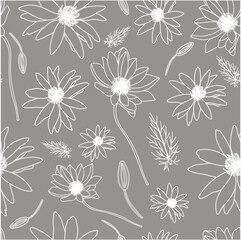 White flowers on a gray background. adonis flower. medicinal plants and herbs. Summer light floral seamless pattern - obrazy, fototapety, plakaty