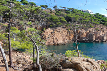 Pines, rocks and cliffs on the catalan costa brava in the mediterranean sea