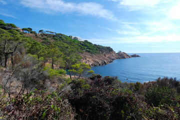 Fototapeta na wymiar Pines, rocks and cliffs on the catalan costa brava in the mediterranean sea
