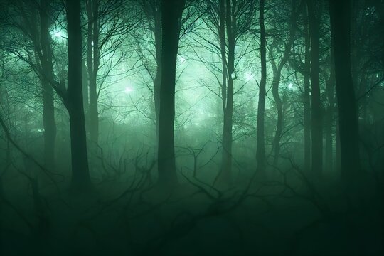 Dark And Misty Forest Trees With A Green Light