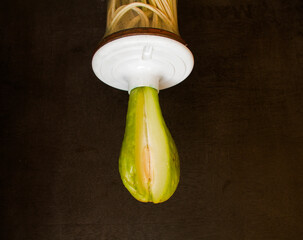 Green energy electrical cables and light bulb socket, with tayota