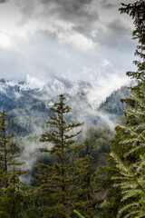 Berg mit Schnee und Baumwipfel im Vordergrund