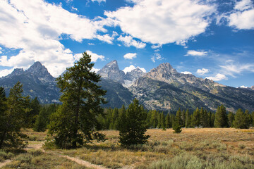 Fototapeta premium Landscape view of a field, trees, and the Teton Range in the background. Taken from Teton Glacier Turnout in Grand Teton National Park.