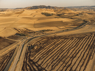Fototapeta premium Summer Flight