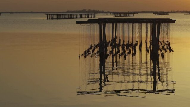 Sunset in Sacca di scardovari, Delta del Po, Comacchio lagoon, sunny day in Veneto, Emilia Romagna, Italy.  Calm and peaceful concept and atmosphere. Sunset Rovigo sea