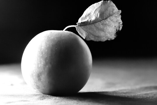 Pomme (noir et blanc)
