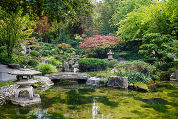 Fototapeta na wymiar Japanese garden in Wurzburg