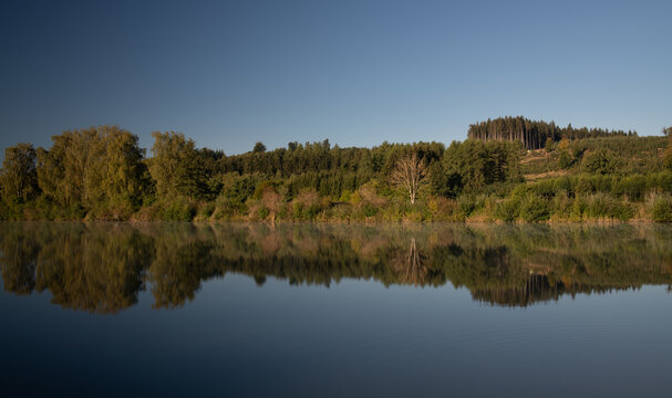 A forest is reflected in a lake in autumn, against a blue sky in Bavaria.