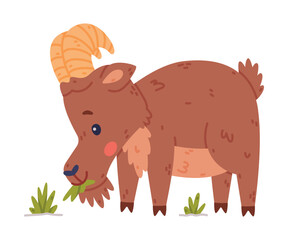 Urial Character as Wild Mountain Sheep with Horns Chewing Grass Vector Illustration
