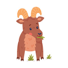 Urial Character as Wild Mountain Sheep with Horns Chewing Grass Vector Illustration