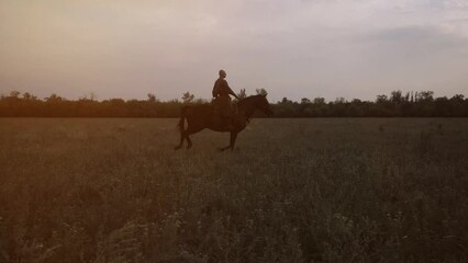Zaporizhian Cossack with on horseback. Ukrainian ancient warrior. Soldier. Infantryman. Cossack Rider on a horse. Strong people.