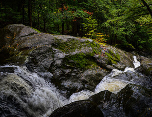 Cascading Waterfall in the Forest
The Long Trail North 