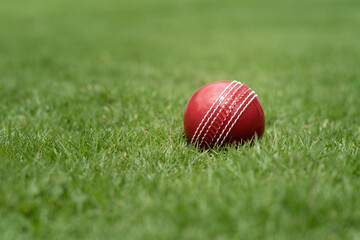 Closeup of a red cricket ball on a green grass - Powered by Adobe