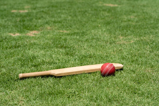 Miniature cricket bat and ball laying on green grass