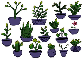 Fototapeta premium Set home flower and leaves and pots for wrapping paper and stickers and notebooks and kids and fabrics and shops