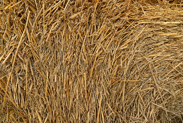 A haystack easily becomes a straw background