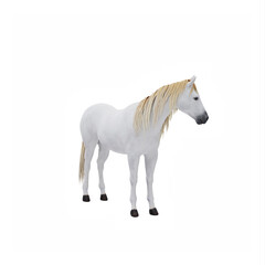 White horse isolated