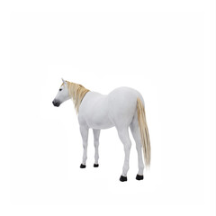 Naklejka na ściany i meble White horse isolated