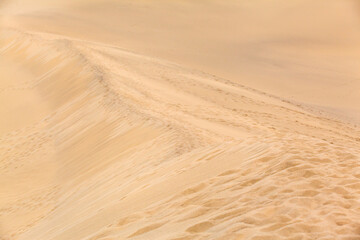 Way at Sandy Landscape / Footprint trails on mound of sand dune (copy space) - 533780635