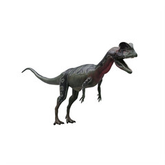 Fototapeta premium dilophosaurus dinosaur