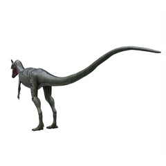 Obraz premium dilophosaurus dinosaur