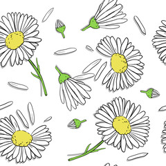 Daisy Seamless Pattern