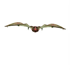 Pterodactylus dinosaur © onay
