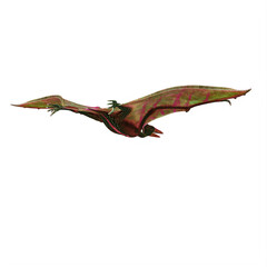 Pterodactylus dinosaur © onay