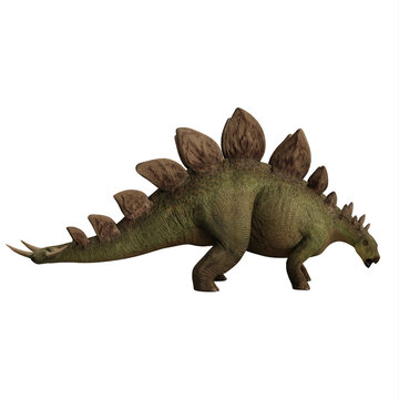 Stegosaurus Dinosaur