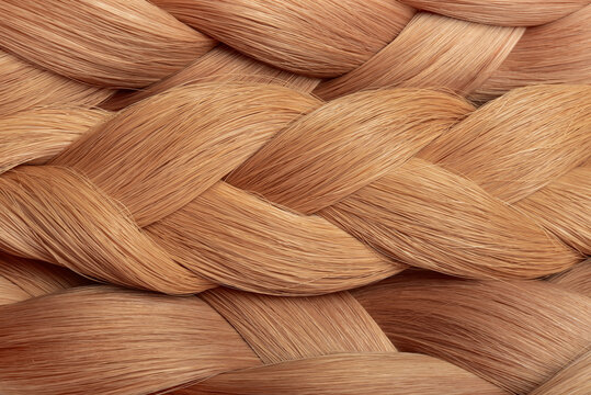Braid of natural hair close-up. Texture or background of beautiful female hair. Hair coloring. Hair Extensions.