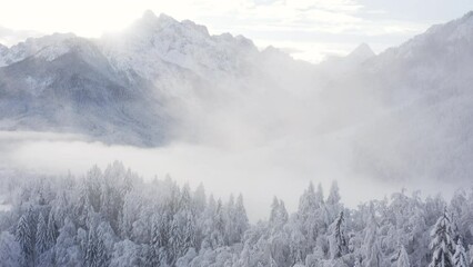Aerial shot of winter forest and mountains covered in snow, morning fog, frozen forest - Powered by Adobe