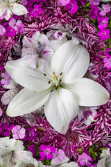 Flowers-lily, alstroemeria, dianthus and chrysanthemum arrangement, Marion County, Illinois.