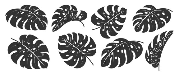 Monstera Deliciosa leaf flat icon set. Tropical exotic plant branch stencil black silhouette. Summer philodendron foliage. Floral scrapbooking cut design element. Single leaves ink stamp on white © VasiliyArt