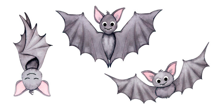 Bats set. Watercolor illustration for Halloween design, cards, invitations, posters, stationery, logos, prints, stickers.