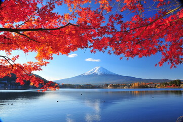 富士山と紅葉
