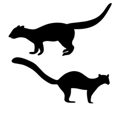 Marten group silhouette. Forest weasel. Isolated on a white background
