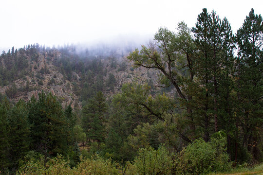 Cache La Poudre Wild and Scenic River Valley in Colorado on a stormy, overcast day