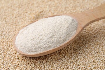 Wooden spoon with quinoa flour on seeds, closeup