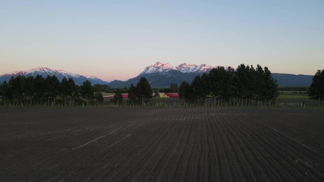 Tulipanes Patagonia, Trevelin Chubut Argentina