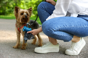 Woman with cute dog taking waste bag from holder in park, closeup