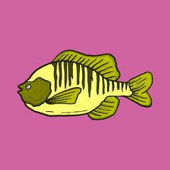 Fish Illustration hand drawn cartoon colorful vintage style vector