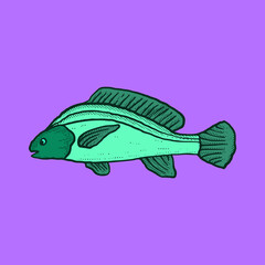 Fish Illustration hand drawn cartoon colorful vintage style vector