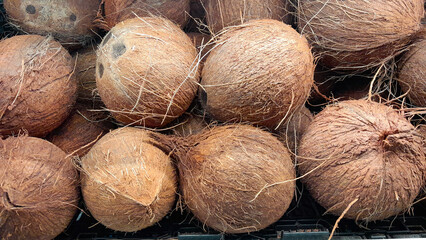 pile of coconuts on the gondola of the super market