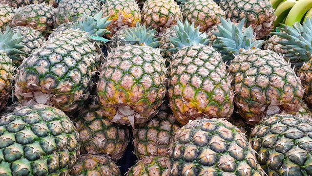 pineapple stack on supermarket shelf