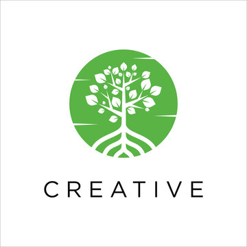 mangrove trees, logo vector with circle shape, with green color, iconic logo designs of tree