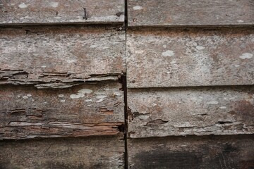 Close-up pattern of old oak wood wall abstract background