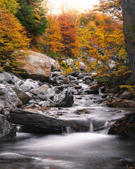 Stream long exposure of autumn
