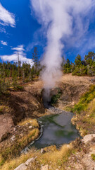 湯気の立ち上るマッドボルケーノ　イエローストーン国立公園