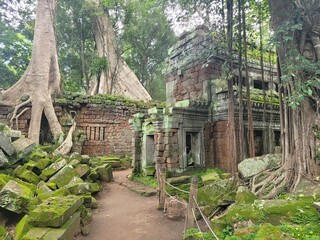 Ta Prohm is the modern name of the temple in Siem Reap, Cambodia, built in the Bayon style largely in the late 12th and early 13th centuries and originally called Rajavihara.