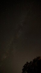 Stars with milky way 